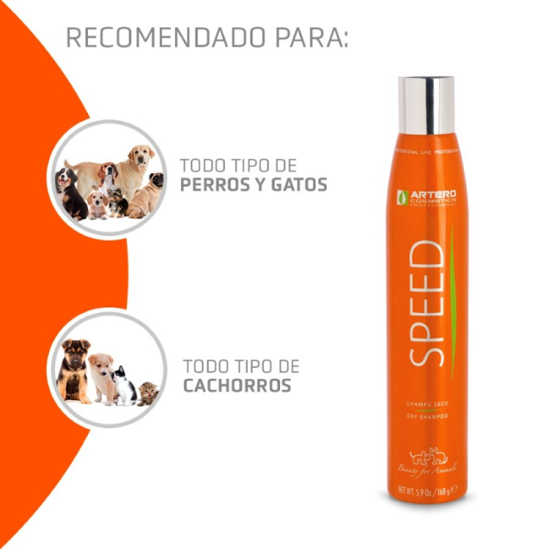 Artero Champú en Seco Speed 300ml