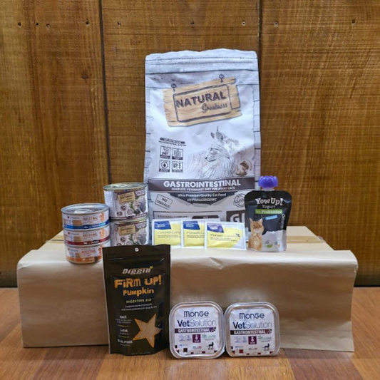 Pack Gastrointestinal para Gatos